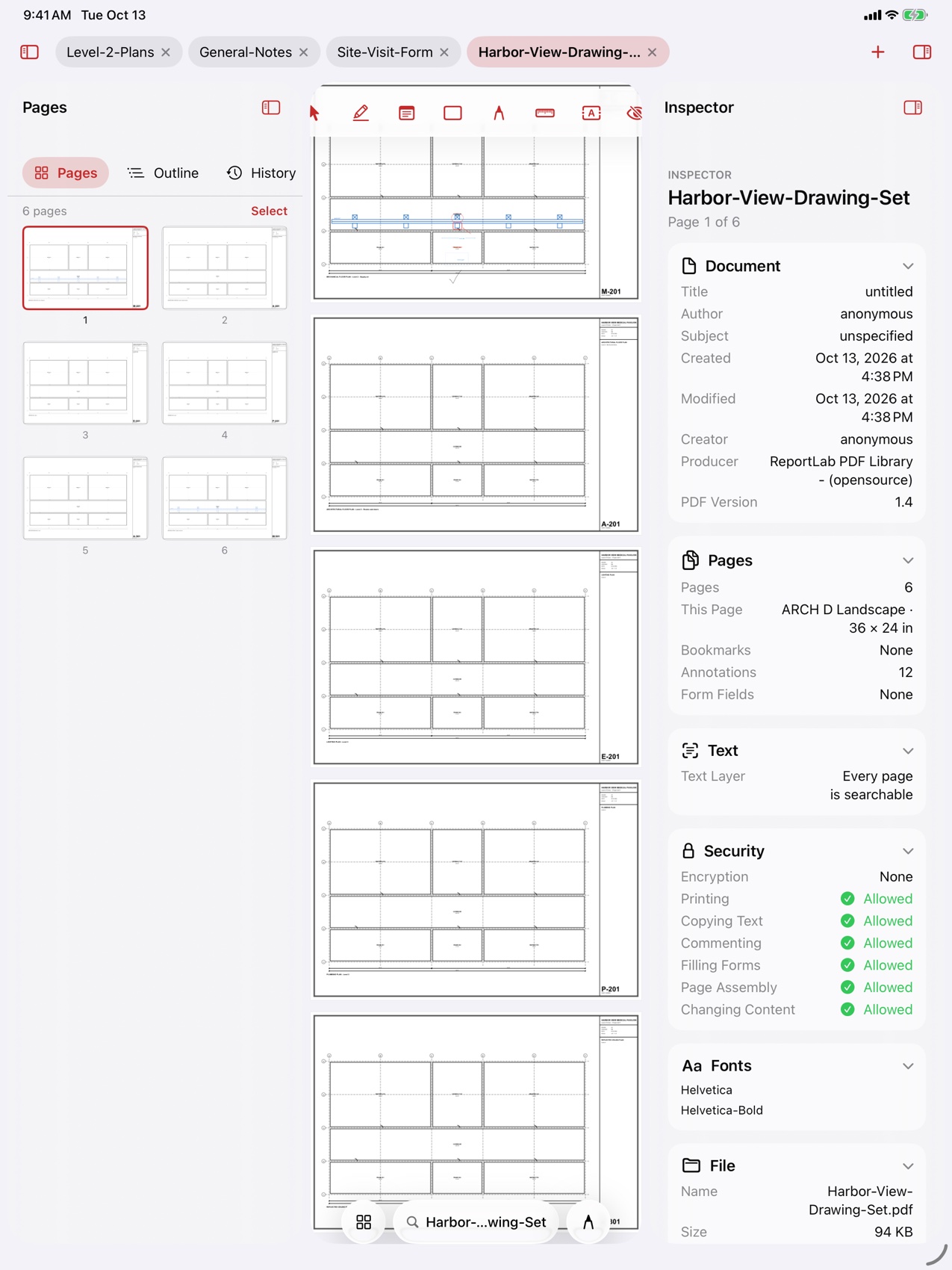 The Inspector panel on iPad listing document security